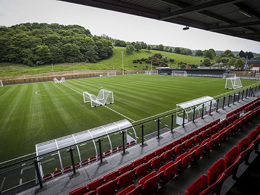 Hybrid turf Hybrid turf