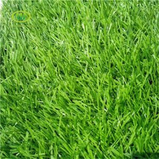 Grass Feirme Saorga