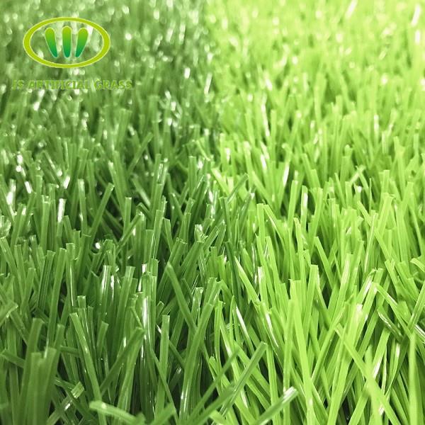 Natural Grass Football Fields Sports